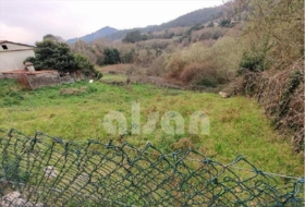 Mondariz Balneario 874&nbsp;m²