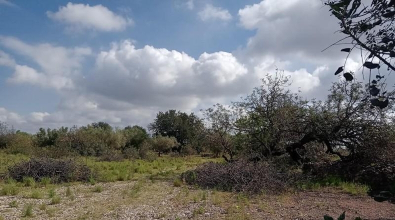 Tarragona - Santa Bàrbara - 7952m2
