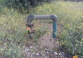 Отдельно стоящий дом с участком на продажу в городе Санта-Барбара Фото