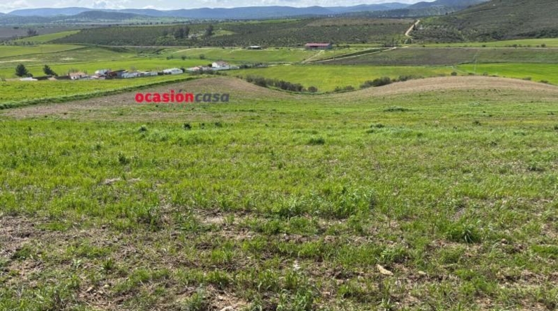 Córdoba - Belmez - 1000m2