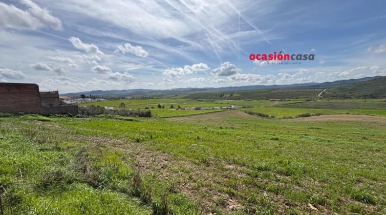 Córdoba - Belmez - 1000m2