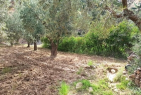 Alcolea 6800&nbsp;m²