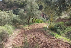 Alcolea 6800&nbsp;m²