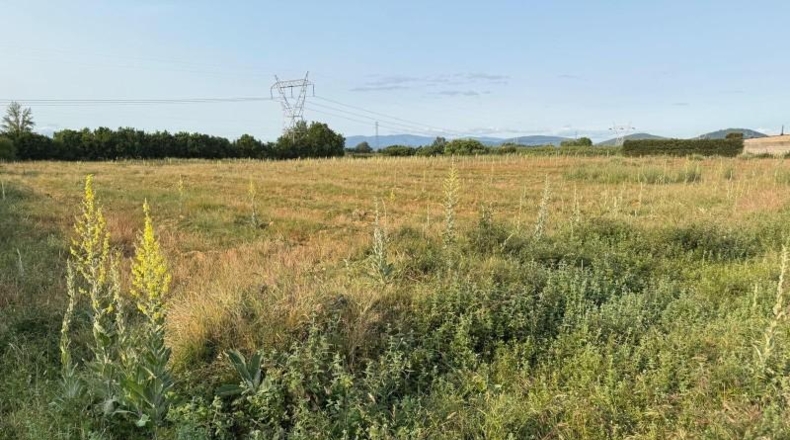 León - Camponaraya - 7400m2