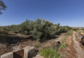 Terreny no urbanitzable en venda a la España, Cozvíjar, ref.: TR325983 foto