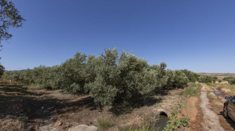 Granada - Косвихар - 1802m2