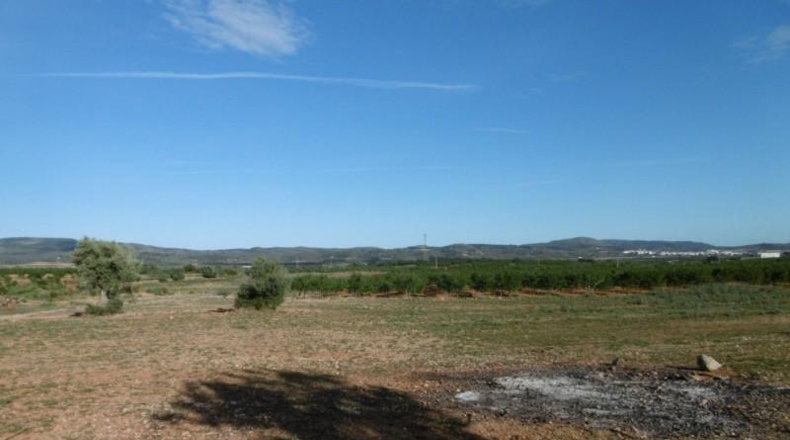Castellón - Vall d'Alba - 6707m2