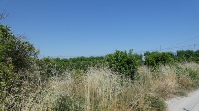 Múrcia - Alguazas - 1001m2