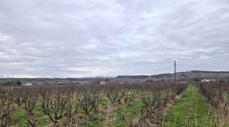 Navarra - Lodosa - 2520m2