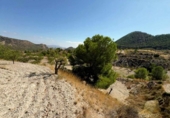 Terreno no urbanizable en venta en la España, Ricote, ref: TR341367 foto