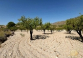 Terreno no urbanizable en venta en la España, Ricote, ref: TR341367 foto