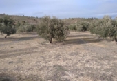 Terreno no urbanizable en venta en la España, Calasparra, ref: TR379461 foto