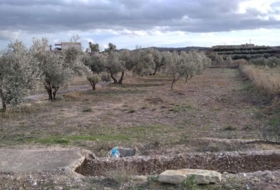 Calasparra 4377&nbsp;m²