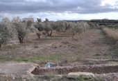 Terreno no urbanizable en venta en la España, Calasparra, ref: TR379461 foto