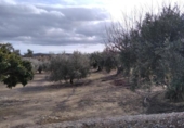 Terreno no urbanizable en venta en la España, Calasparra, ref: TR379461 foto