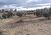 Terreno no urbanizable en venta en la España, Calasparra, ref: TR379461 foto
