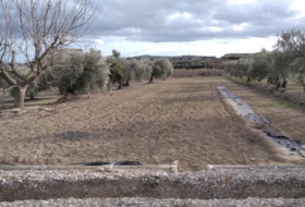 Calasparra 4377&nbsp;m²