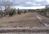 Terreno no urbanizable en venta en la España, Calasparra, ref: TR379461 foto