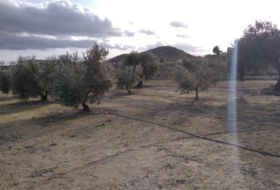 Calasparra 4377&nbsp;m²