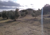 Terreno no urbanizable en venta en la España, Calasparra, ref: TR379461 foto