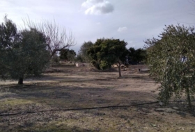 Calasparra 4377&nbsp;m²