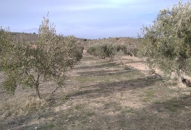 Calasparra 4377&nbsp;m²