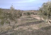 Terreno no urbanizable en venta en la España, Calasparra, ref: TR379461 foto