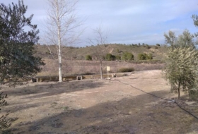 Calasparra 4377&nbsp;m²
