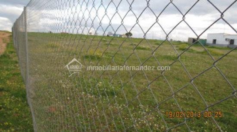 Cáceres - Sierra de Fuentes - 2000m2