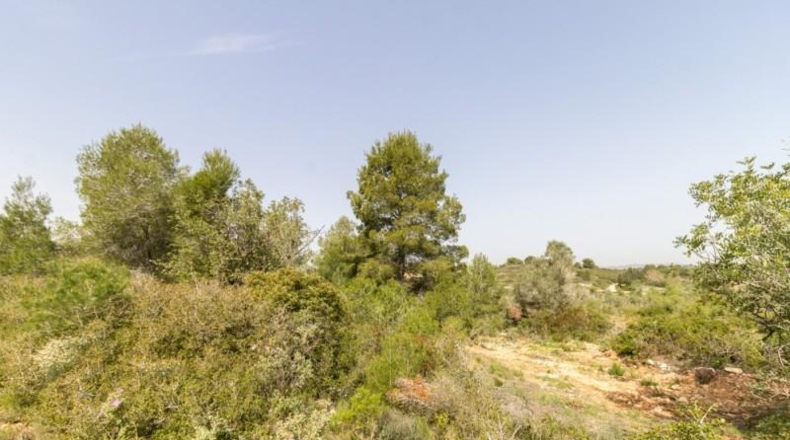 València - Monserrat - 2647m2