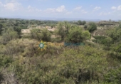Terreno no urbanizable en venta en la España, Castelló de Rugat, ref: TR316800 foto