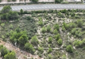 Terreno no urbanizable en venta en la España, el Perelló, ref: TR174857 foto