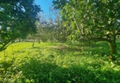 Terreno no urbanizable en venta en la España, Sangenjo, ref: TR177424 foto