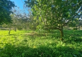 Terreno no urbanizable en venta en la España, Sangenjo, ref: TR177424 foto