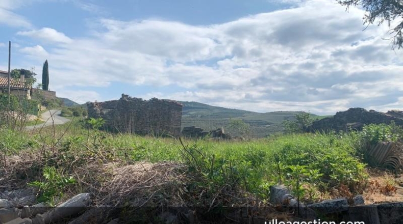 Navarra - Castillonuevo - 439m2