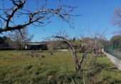 Non-developable land for sale on España, Cubillos del Sil, ref: TR237233 photo