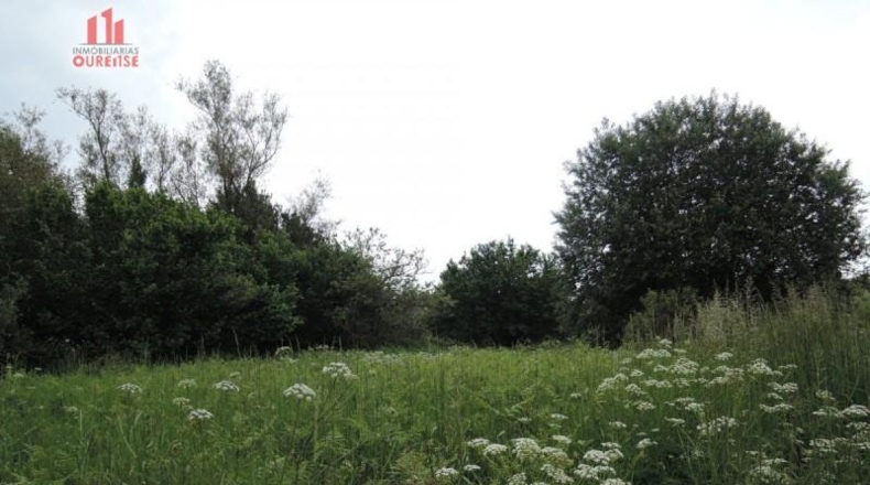 Orense - Orense - 800m2