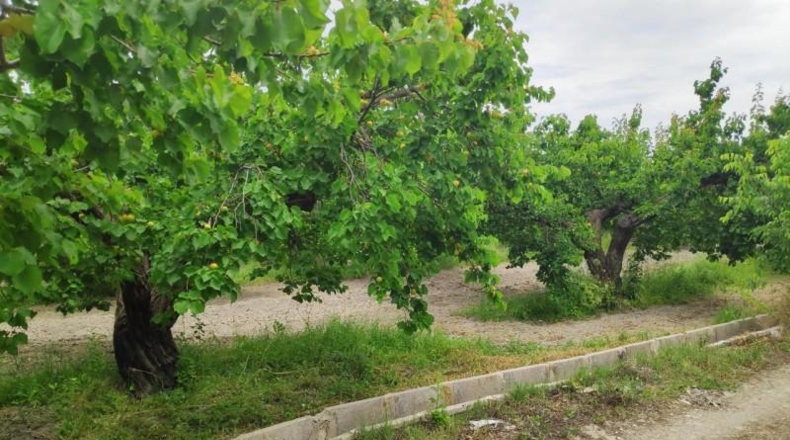 Murcia - Moratalla - 3236m2