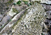 Terreno no urbanizable en venta en la España, Urrácal, ref: TR121125 foto