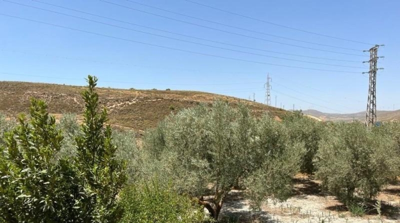 Granada - Cozvíjar - 2000m2
