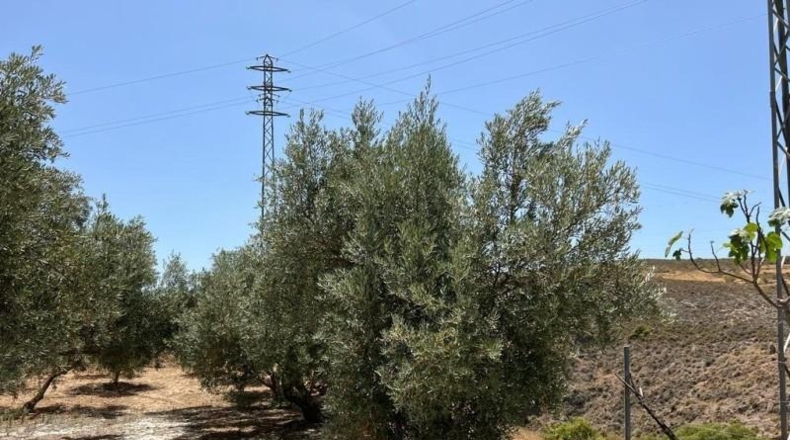 Granada - Cozvíjar - 2000m2