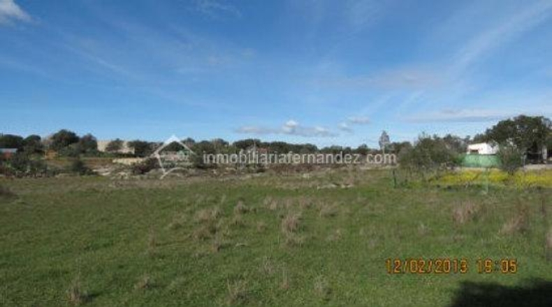 Cáceres - Arroyo de la Luz - 6200m2