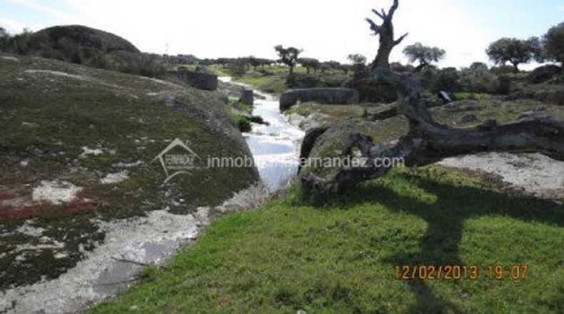 Cáceres - Arroyo de la Luz - 6200m2