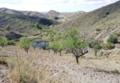 Chalet independiente con terreno en venta en la España, Lorca, ref: TR323227 foto