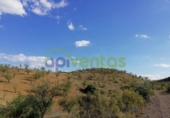 Chalet independiente con terreno en venta en la España, Lorca, ref: TR323227 foto