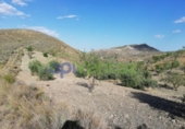 Chalet independiente con terreno en venta en la España, Lorca, ref: TR323227 foto