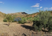 Chalet independiente con terreno en venta en la España, Lorca, ref: TR323227 foto