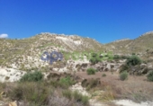 Chalet independiente con terreno en venta en la España, Lorca, ref: TR323227 foto