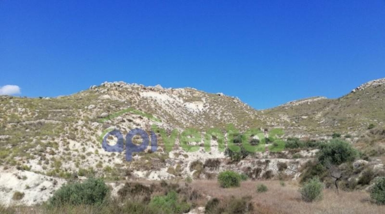 Murcia - Lorca - 50000m2