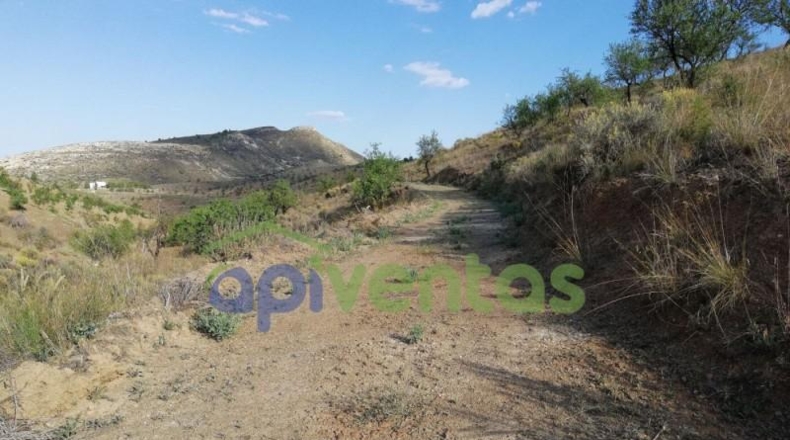 Murcia - Lorca - 50000m2